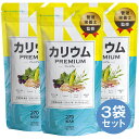 【本日ポイント5倍】 カリウム サプリ 3袋セット 90日分 プレミアム 栄養機能食品 塩化カリウム1,200mg カリウムサプリメント ビタミンb ビタミンe 女性 国内製造 サプリメント 送料無料 RL