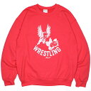 (nI~) HAOMING~ANIMAL OWL WRESTLING CREW SWEAT (CREW)(230-01-RE) XEFbg g[i[ N[  tNE XO Ki