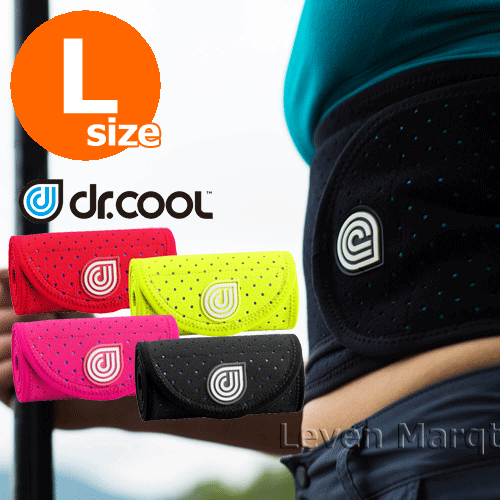 ����ץ�å���󥵥ݡ�����L(�������󥰵�ǽ�դ�) Dr.COOL �ɥ�����������(���٤�4��)�ڥ��ݡ��ĥ���/���ݡ�����/�������󥰡�