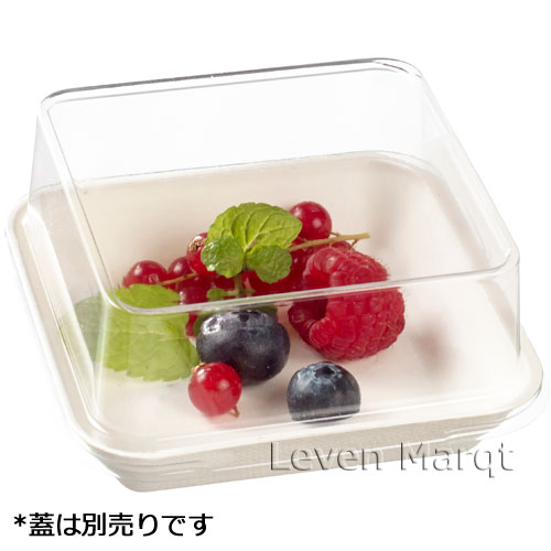 ソリア solia キャノピーパルププレート 10cm 200個入り 内側ラミネート加工あり エコシリーズ【ケータリング/紙容器/使い捨て食器】 levenmarqt-10005725 リーベンマルクト楽天市場店 サンプル画像2