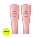 【お得2本セット】資生堂 サブリミック エアリーフロー トリートメント 250g (UNRULY HAIR) |くせ・うねり補修 ドライヤー熱補修 ふんわりまとまり髪 サロン専売 送料無料