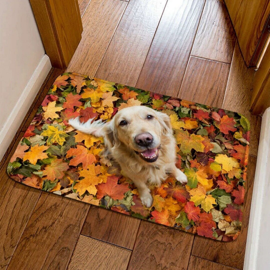 ラグカーペット ラグマット 40x60cm玄関マット ゴールデンレトリバー雑貨