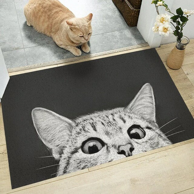 ラグマット 泥落とし 洗える 玄関マット 屋外 屋内 カーペット　猫柄雑貨