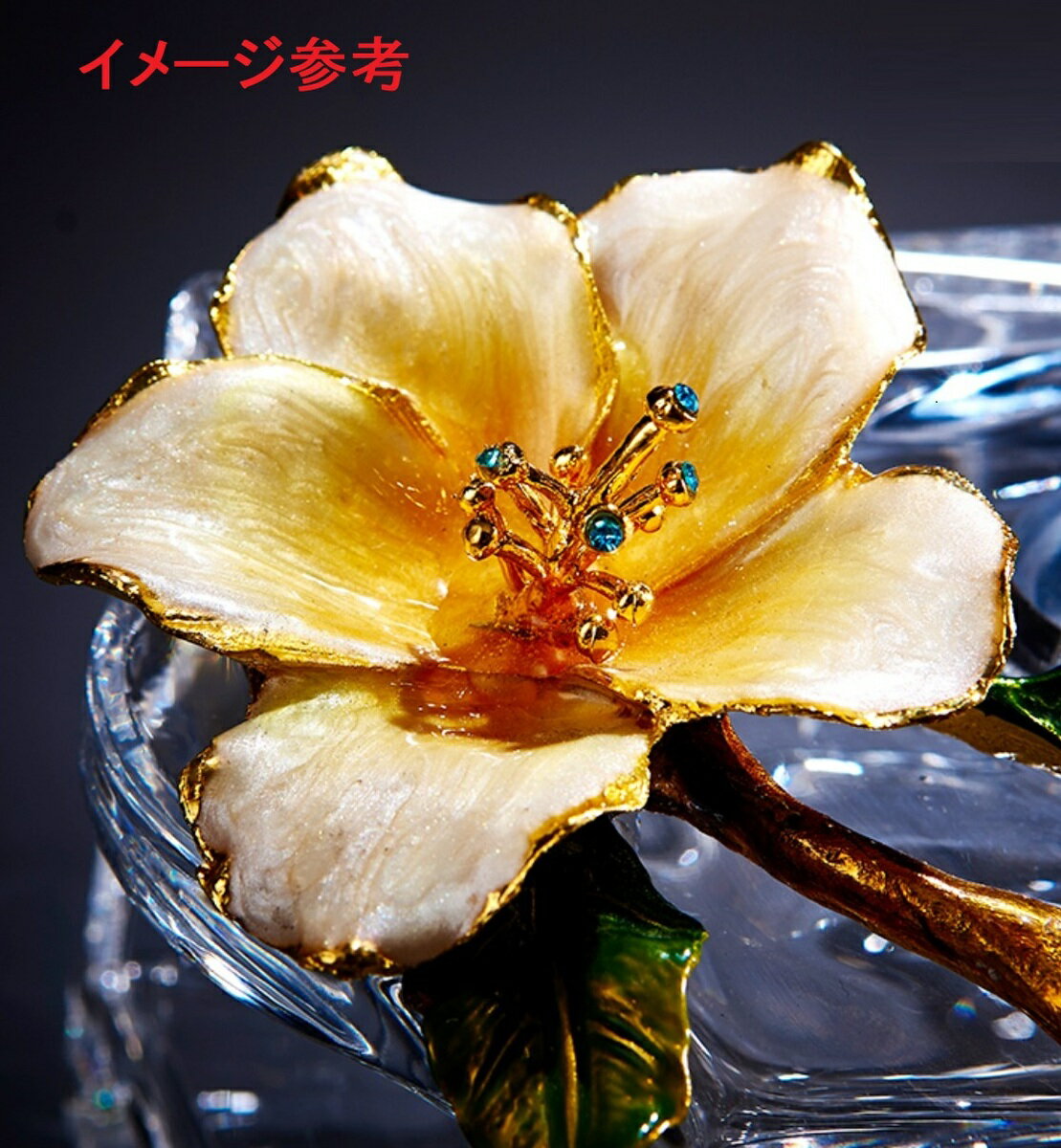 ��鴶�Τ��� ���ƥ��å��奱����