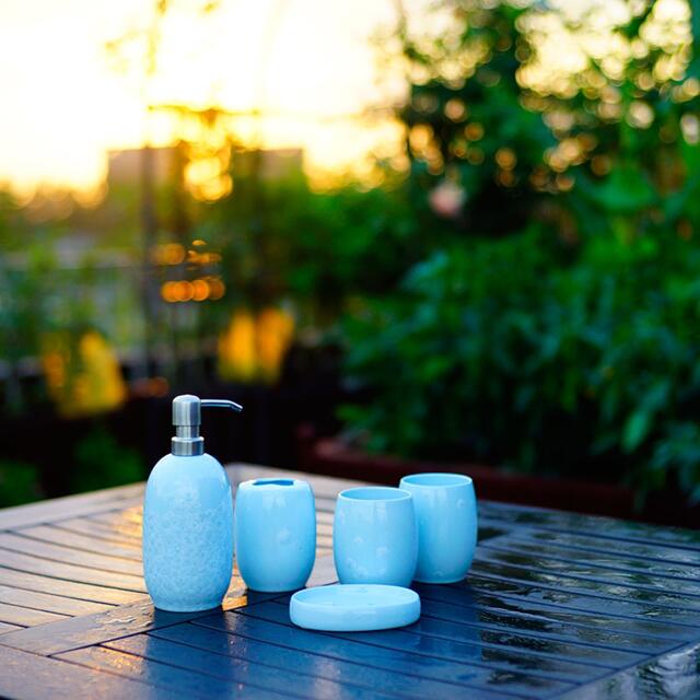 �Х����� ��饵�˥��꡼5�����åȡ��ǥ����ڥ󥵡� ���֥饷������� ��������