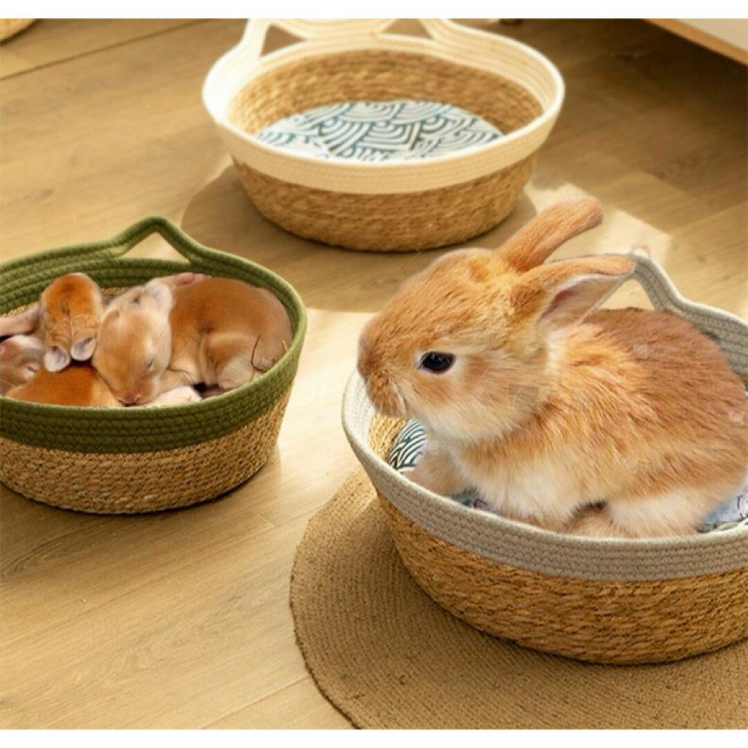 ミニアニマン 手編みのハウス 家 ウサギ うさぎの寝ハウス 赤ちゃん出? [2]