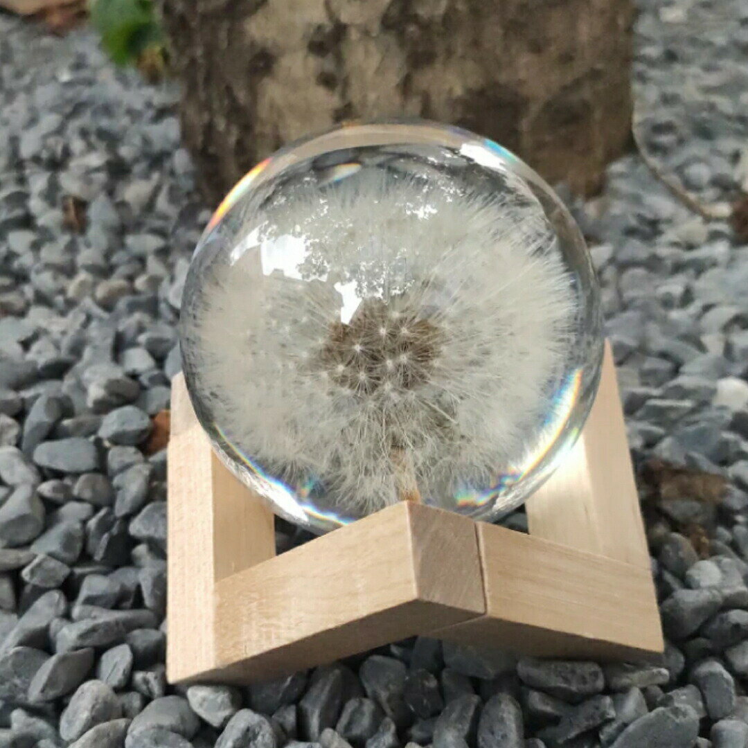 永生花 たんぽぽ 装飾品 蒲公英テーブルフラワー飾り置物 ギフト