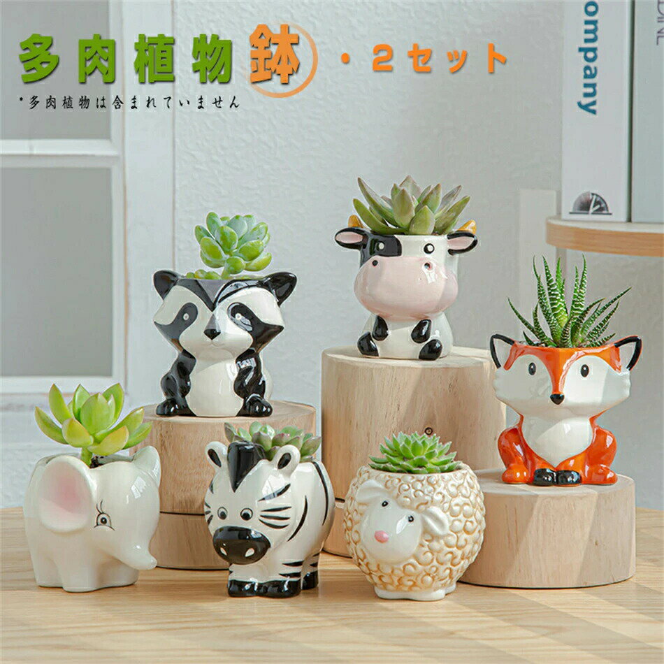 2セット 　植木鉢 セラミックス多肉植物鉢 おしゃれ セメント鉢 かわいい動物サボテン鉢 鉢 浅型 プラ..