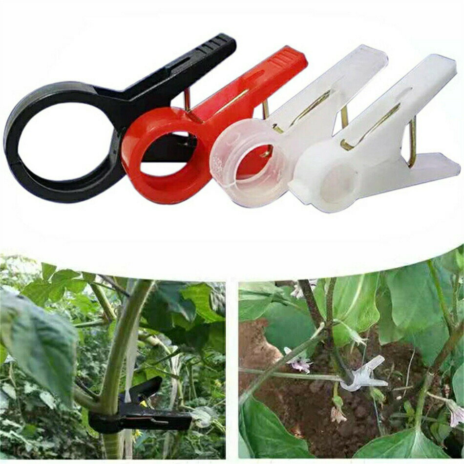 誘引クリップ【 100個 】キュウリ ナス 園芸クリップ ガーデニング 誘引 結束 家庭菜園 誘引 資材 ガー..