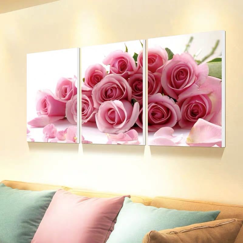 �ɾ��� ����ץ��� �ɲ� �����Х��ץ��ȥݥ�����3�� �۱�ʤ� 40x60 �̥���������