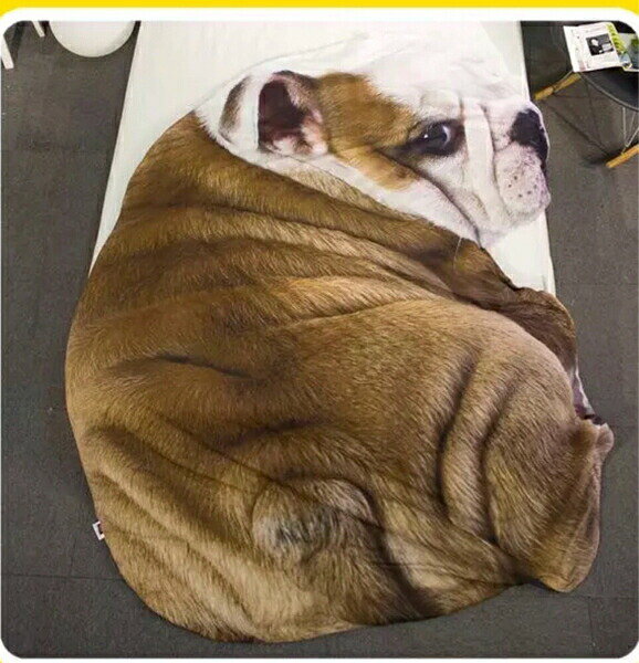 使いやすい一般的なひざ掛けサイズ(115x80cm)お子様から大人まで、もちろん愛犬の寒さ対策にもぜひご利用ください。* サイズ：115×80cm注意事項1、ご利用のPC環境により、実際の商品と色が異なる場合がございます。予めご了承ください。2、新品未使用品ですが、外箱に初期からのスレ、剥げ歪みなどあります。3、海外品ですので、気にされる方はご遠慮下さい。4、この商品は、購入後発送まで8日程度を要しますので、ご理解の上ご購入頂きますようお願い致します，お急ぎの方はご注文をご遠慮ください5、素材の色・風合いなど、ディスプレーにより、一部写真と実物が異なる場合がございますので、あらか じめご了承ください。上記理由の返品交換は承ることが出来ませんので予めご了承くださいませ使いやすい一般的なひざ掛けサイズ(115x80cm)お子様から大人まで、もちろん愛犬の寒さ対策にもぜひご利用ください。* サイズ：115×80cm注意事項1、ご利用のPC環境により、実際の商品と色が異なる場合がございます。予めご了承ください。2、新品未使用品ですが、外箱に初期からのスレ、剥げ歪みなどあります。3、海外品ですので、気にされる方はご遠慮下さい。4、この商品は、購入後発送まで8日程度を要しますので、ご理解の上ご購入頂きますようお願い致します，お急ぎの方はご注文をご遠慮ください5、素材の色・風合いなど、ディスプレーにより、一部写真と実物が異なる場合がございますので、あらか じめご了承ください。上記理由の返品交換は承ることが出来ませんので予めご了承くださいませ