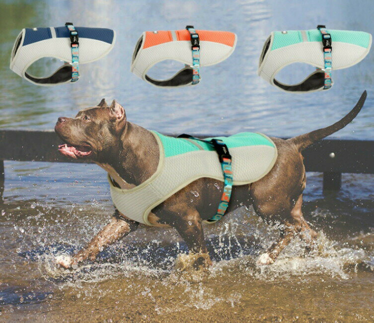 犬用 クールベスト 夏 服 冷却 冷感 大型犬 中型犬 夏服 夏対策 水 川 海 物理 反射 ストリップ 夜間 散歩 安心 安全 L XL