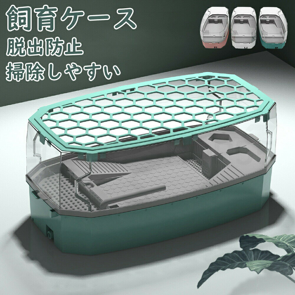 ���ο��� ���� �����ȥ� �礭�� �ο��� �λ��� �� æ���ɻߥե��� ���Ĥ� ���мФ� ���� �ݽ����䤹�� ������� �� �� �ѻ� �ץ���� ������ �� �ߵ�...