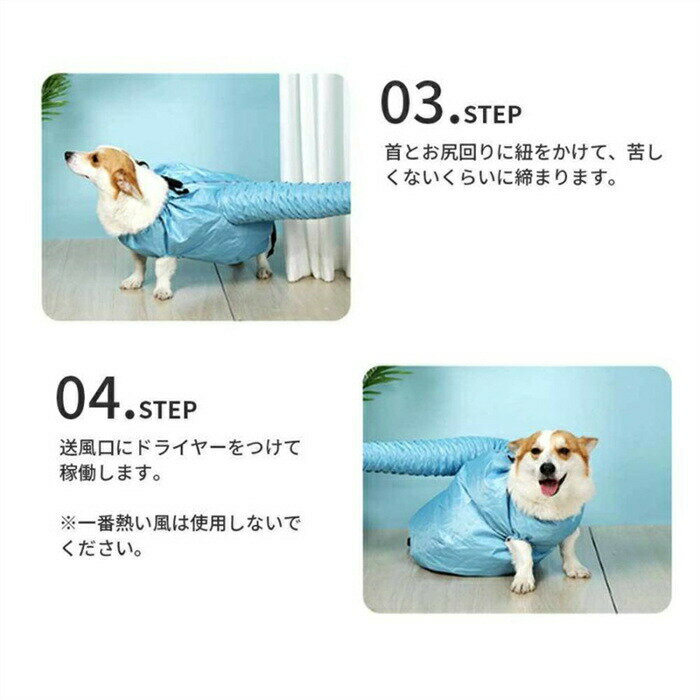 �ڥå� �ɥ饤�䡼 �ܥå��� ��ǭ�� �ڥåȴ����� �ɥ饤���㥱�å� �ɥ饤�롼�� �ڥå��� �� ǭ ���� �ڥå��� �ɥ饤�䡼 ®�� ���� �ɥå������� �ڥå��� �ڥåȥ��å� �ڥå���