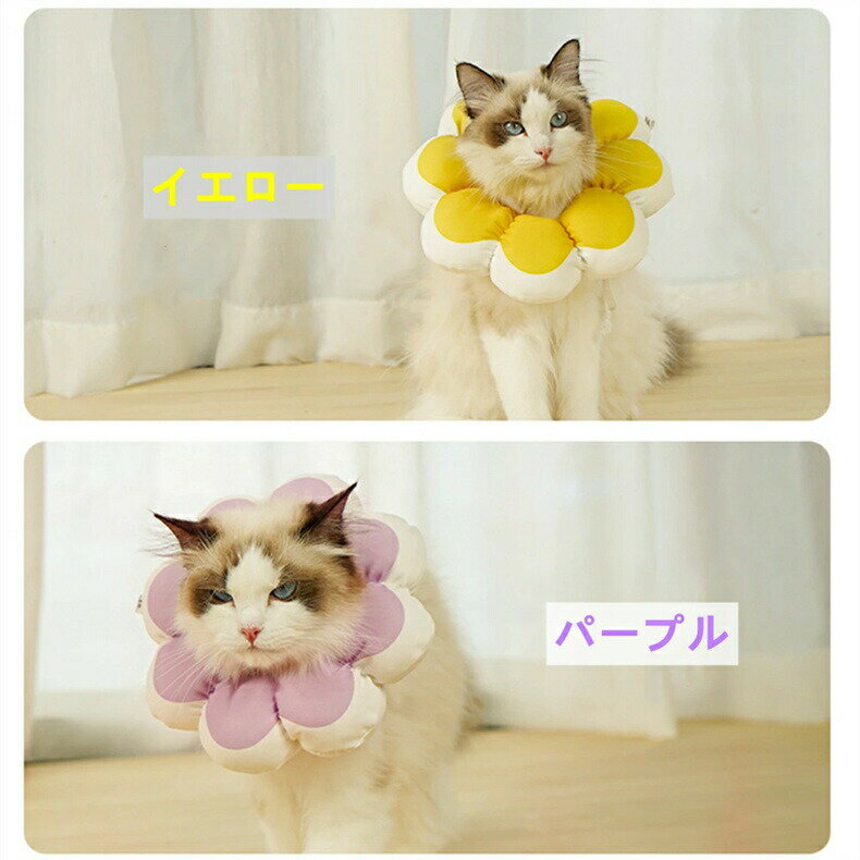 サンプル画像2