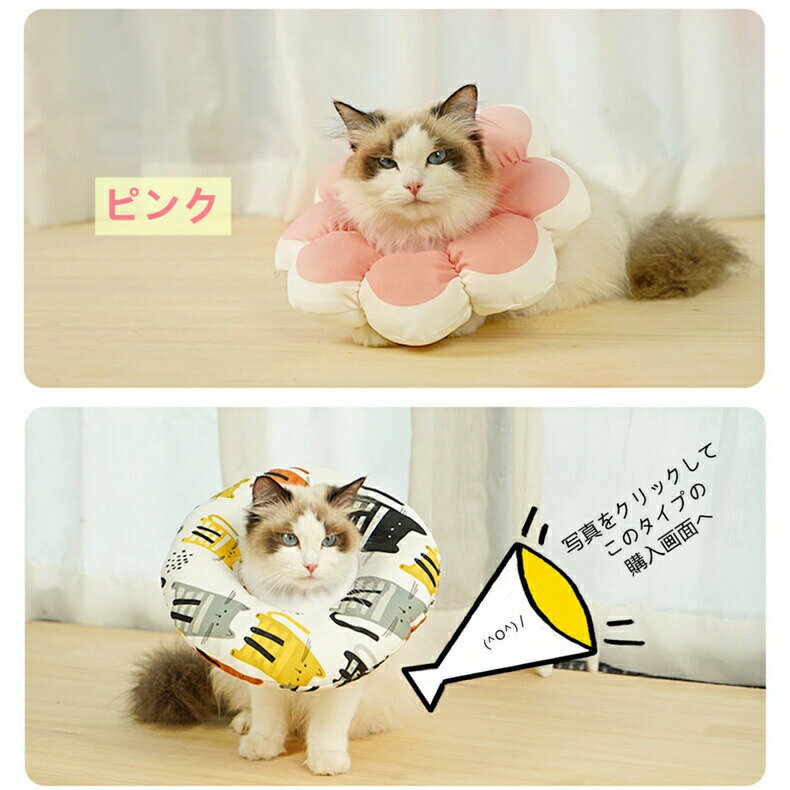 サンプル画像3