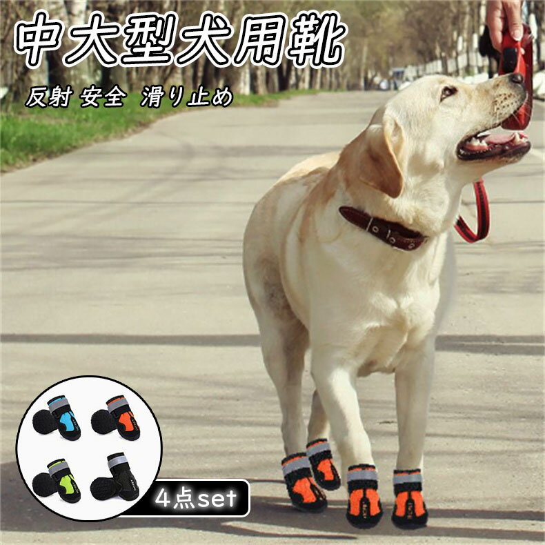 ���ѥ֡��� �ɿ��ɴ� ���ߤ� 4­���å� ���б� ���� ���� �饤���դ� ���緿���� ������֡��� �� ������