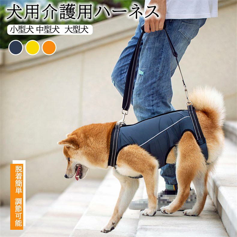 �ڥå����������ϡ��ͥ� ���ȥ��ݡ��� Ϸ�� �澮���� æ���ñ Ĵ���ǽ ���餫�� �̵��� ��ϥӥ� ������ ȿ�ͺ�ǥ�����