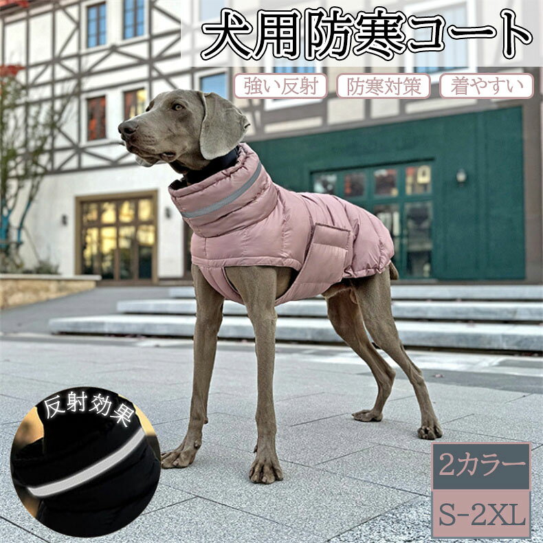 ���� ���� ������������ �ɴ� ������ ���緿������ �Ȥ��� �夻�䤹�� ������� �ڥåȥ��å�