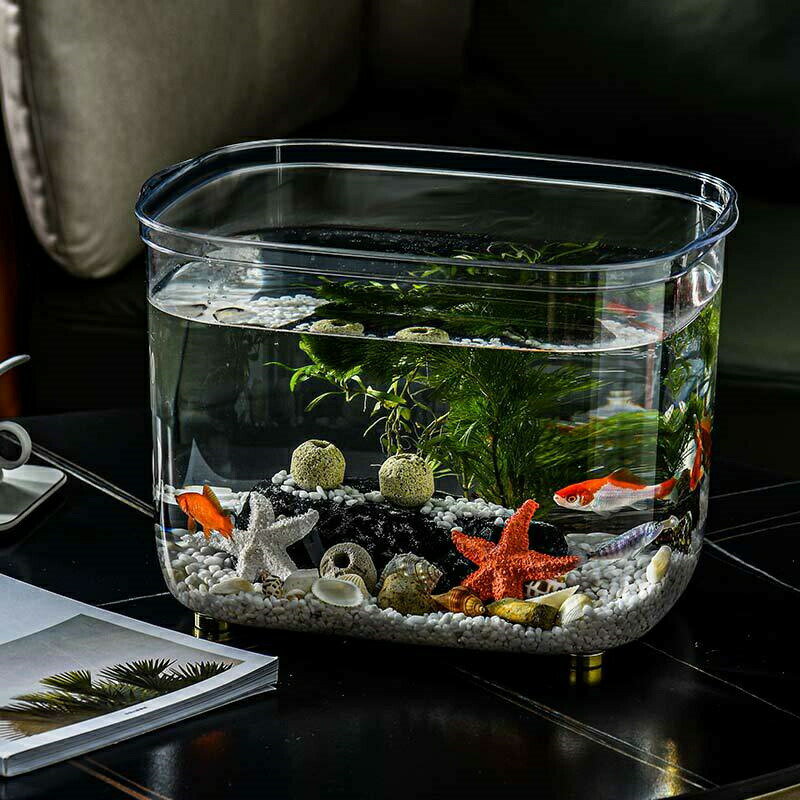 ���� ���ȭ ������� ��Ʃ�� PET�Ǻ� �礭��������/���祵���� ��� Ʃ�� ȭ ȭ �ơ��֥� ����� ���� ��餷 �� ��� ���� ���������꡼ ���ե���¿��ǽ