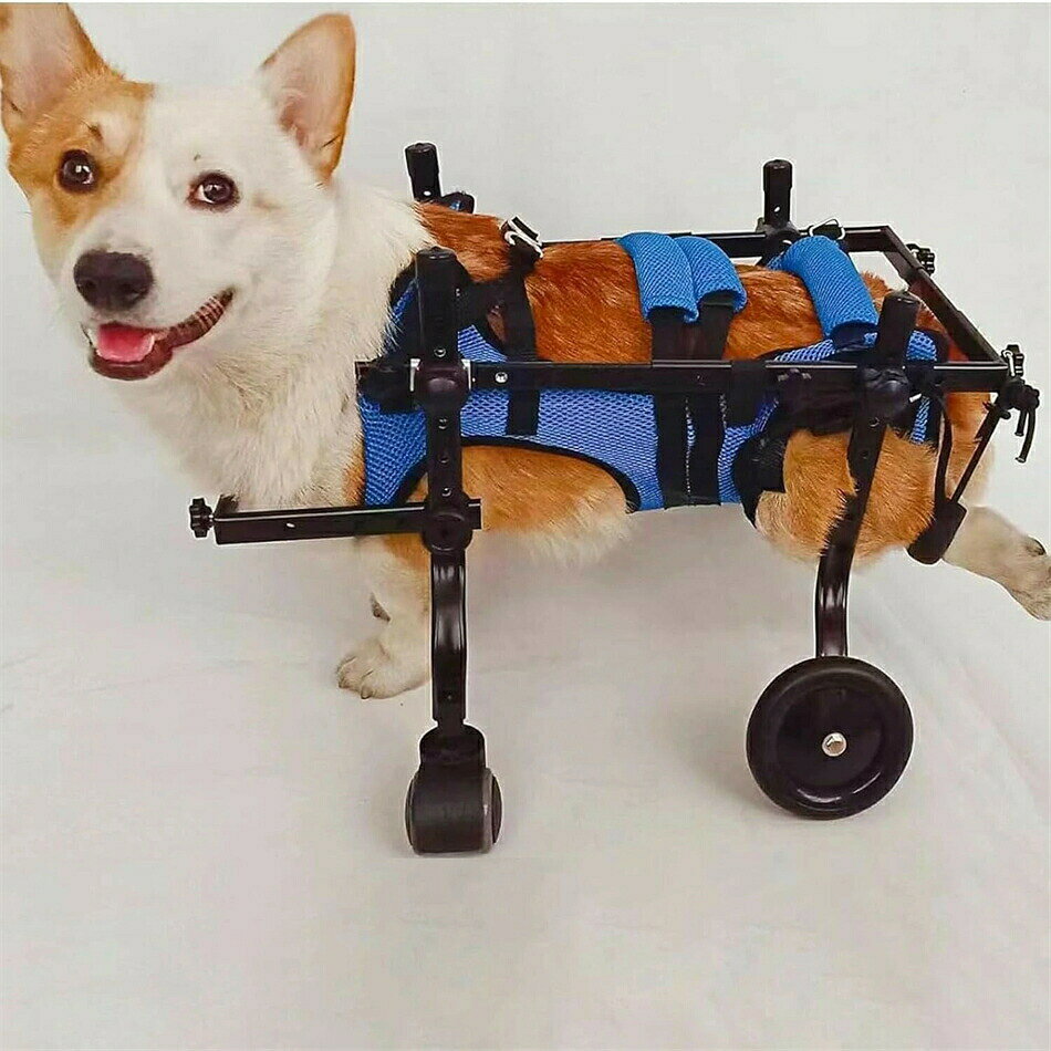 犬用車椅子 犬用歩行器 後ろ足 ペット車椅子 歩行補助 犬用カート ドッグウォーカ...