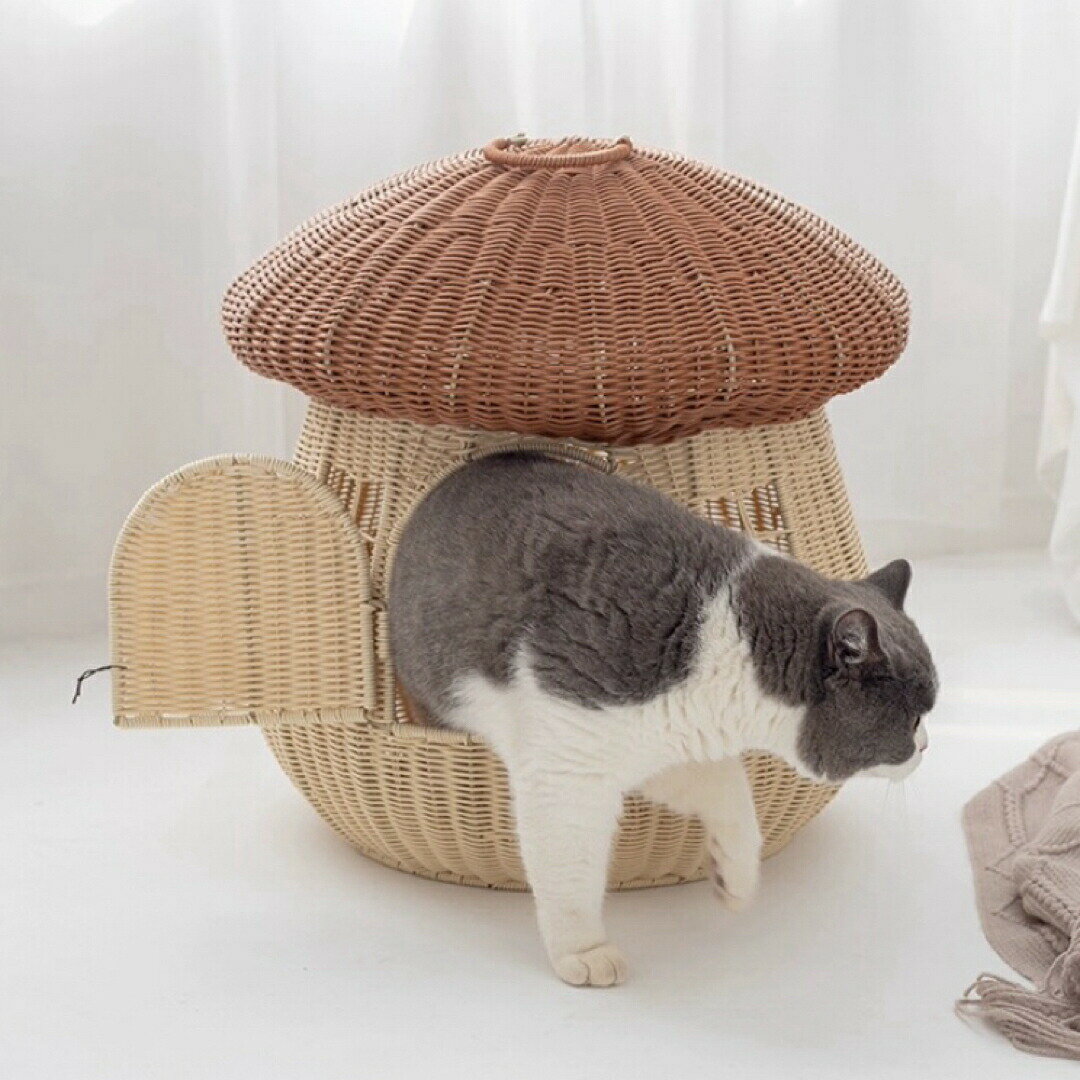 Other - 猫ベッドハウス ドーム型マッシュルーム犬小屋 猫小屋 キャット寝床ペットベッド