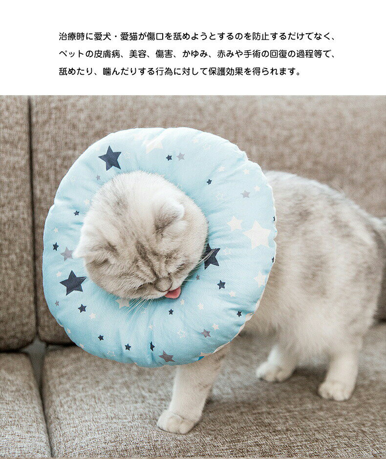 ���ꥶ�٥����顼 �� ǭ ���ե� ���餫 ξ�̻Ȥ��� ���ꥶ�٥����顼 �ʼ� ���� �Ѹ� �����ݸ� ���Ӥ��ɻ� �����ߤ��ɻ� ��� �إ륹���� �Ѹ奦���� ���å���󥫥顼