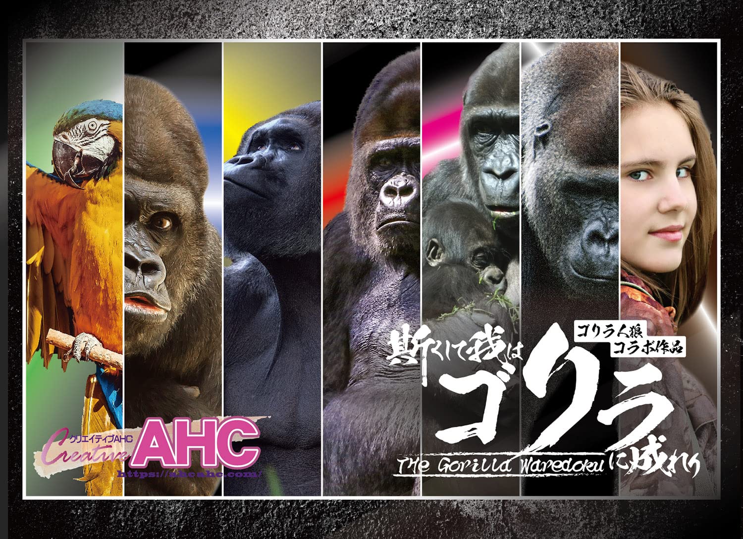 斯くして我はゴリラに成れりボードゲ...