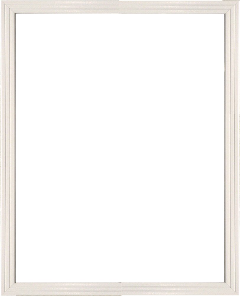 大額 かる!フレーム B1 ホワイト 5008