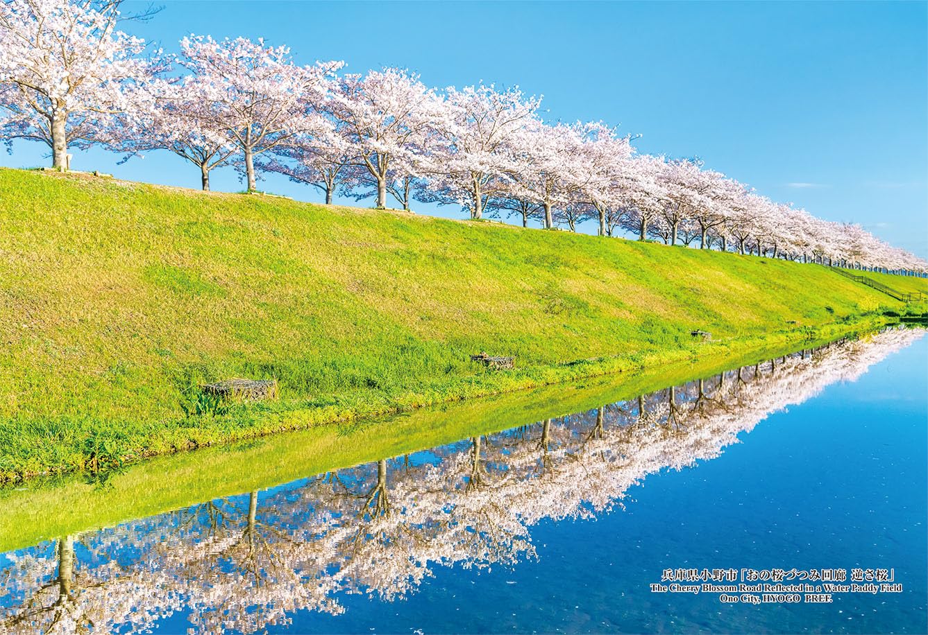キューティーズ(Cuties) 【日本製】 300ピース ジグソーパズル 日本の都市91 兵庫県小野市「おの桜づつ..