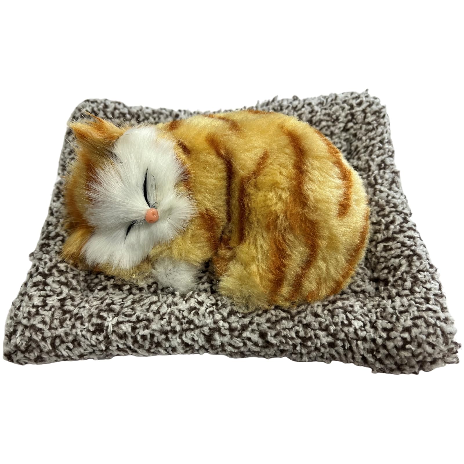 ���塼�ե�(Q-FLA) �̤������ �����ʥ��� �Ĥ�ǭ ��� ����ȥ� ��ȥ� �ץ쥼��� ���ե� ���ˤ� 825170