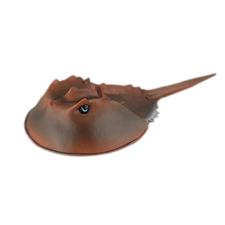 [猫神山] カブトガニ 甲蟹 兜蟹 鱟 鱟魚 生きた化石 フィギュア モデル ミニチュア 置物 インテリア コレクター 模型