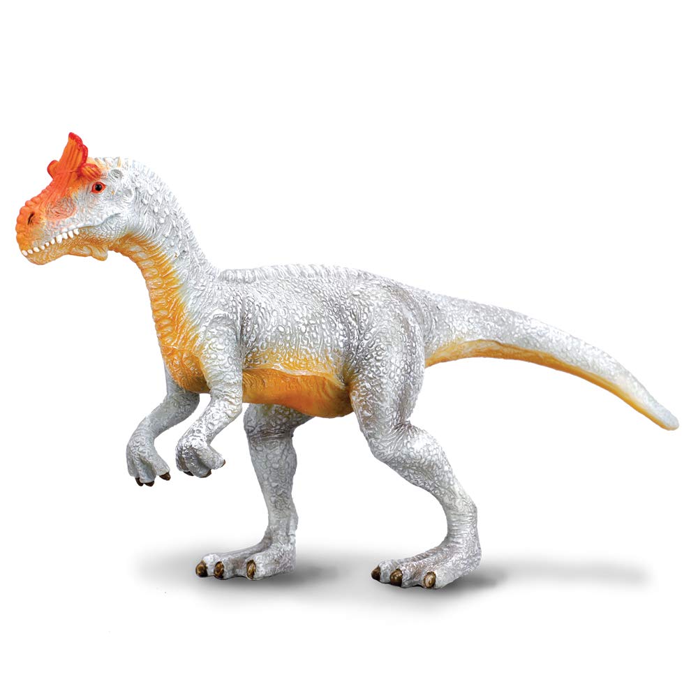 • 本体サイズ :よこ14cm×たて9cm • 対象性別 :男女共用 • 対象年齢 :3歳から • 安全基準 :CE