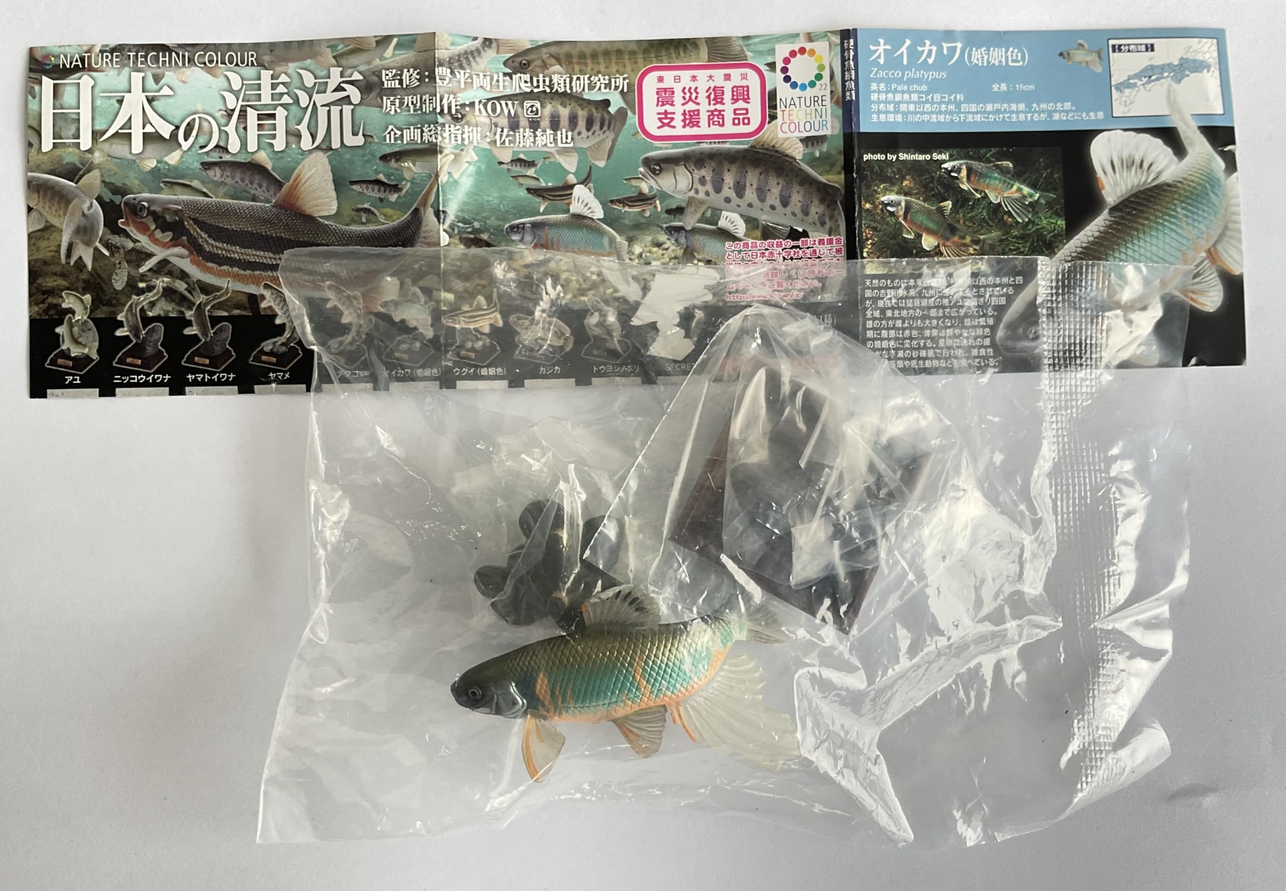• 生物フィギュア界で名が知れ渡ったKOW氏の原型製作の新シリーズ「ネイチャーテクニカラーシリーズ」に日本の清流が登場。 • 監修：豊平両生爬虫類研究所 • 企画総指揮：佐藤純也