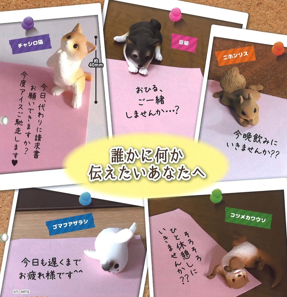 ねぇねぇあのね… ｢豆柴｣｢チャシロ猫｣｢ニホンリス｣｢ゴマフアザラシ｣｢コツメカワウソ｣ の全5種セット 気になる誰かに想いを伝える！ ねえねえあのね…