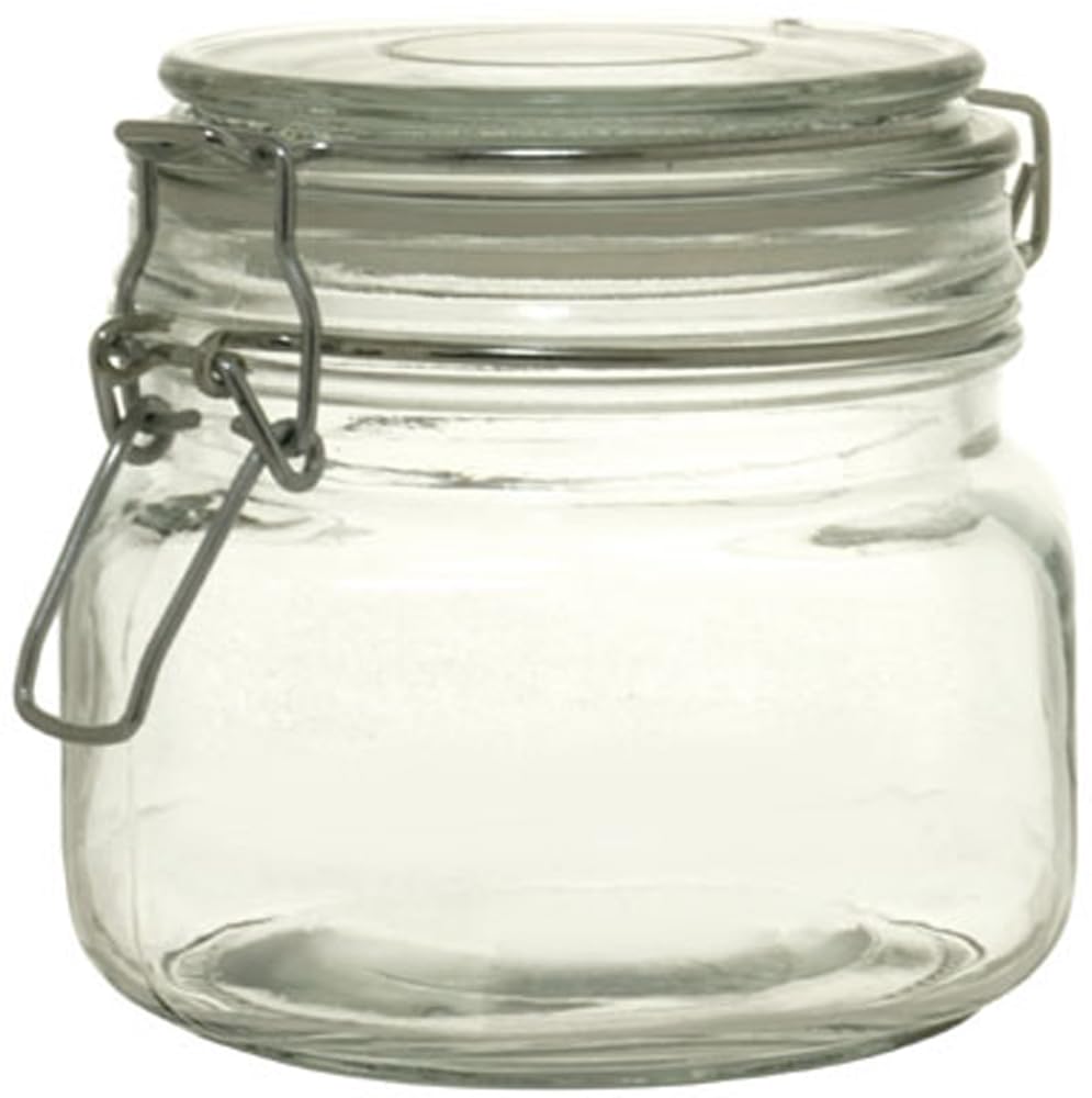 リビング ミニ密閉ボトル 保存容器 0.6L ガラス キャニスター 310015