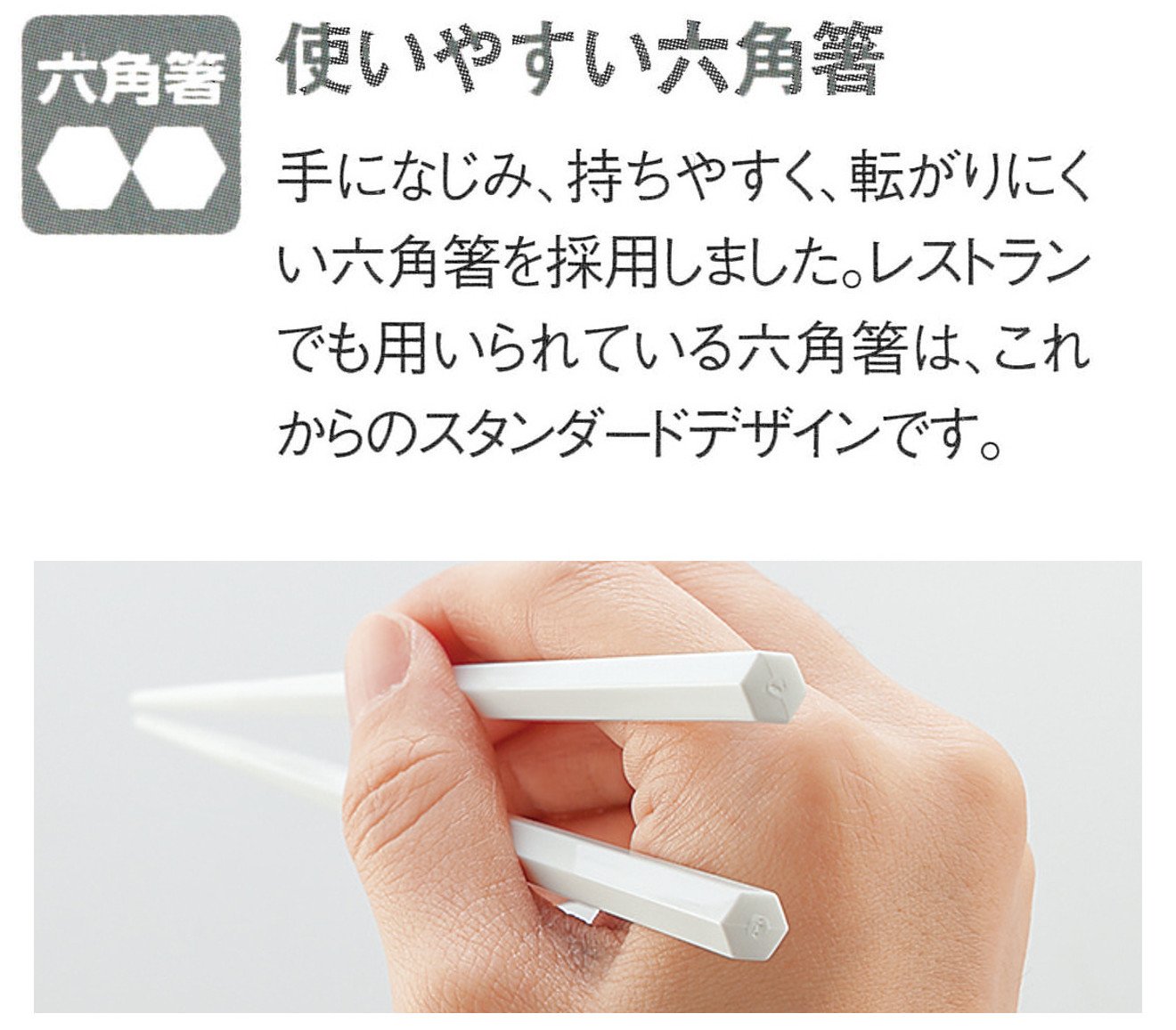 岩崎工業 抗菌 箸箱セット ブラック 22cm Airy Style H-582 BC [2]