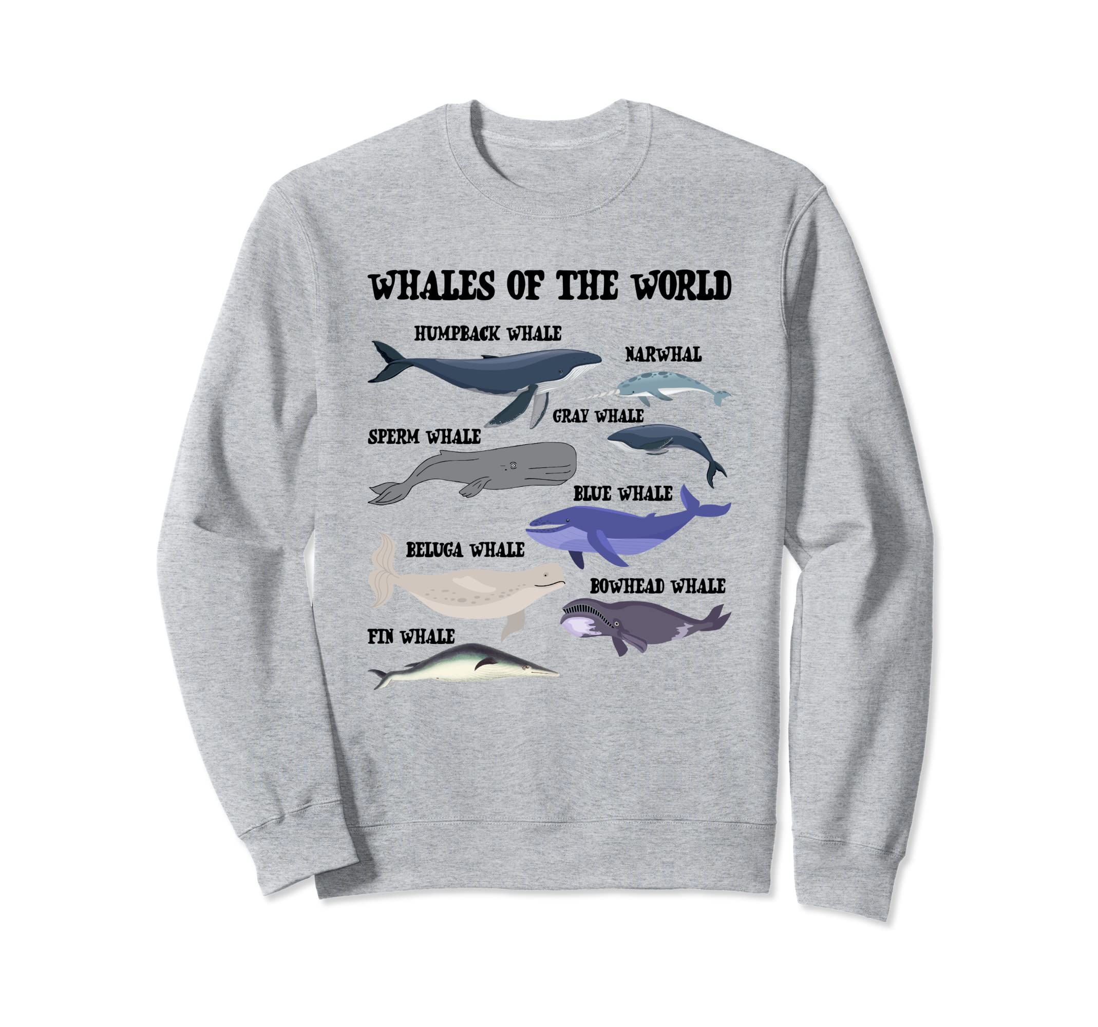 Whales Of The World 海洋野生動物 海洋生物学者 トレーナー
