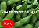 【ワケアリ品 格安】新潟黒埼産のブランド枝豆2kg 粒の不ぞろい・変形・実入りが悪いなどの理由で贈答用の選別後に発生した商品をクール便で発送 見た目はイマイチでも旬の枝豆は味が違います えだまめ 黒埼茶豆 B品 訳あり 訳アリ ワケアリ くろさき 茶豆