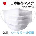 衛生 布マスク 日本製 クールガーゼ 2層 手作り 2枚入り 大人サイズ L LL 白 プリーツ 洗える 表サラシ生地/裏Wガーゼ 2131【1〜4以内の発送】