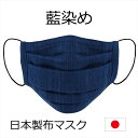 布マスク 日本製 プリーツ 藍染 秋 冬 2層 L LL 洗える 表面綿生地/裏面Wガーゼ 1枚入り【1~4日以内に発送】