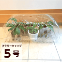 【冬越し】フラワーキャップ5号