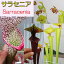 【観葉植物】【食虫植物】 サラセニア 【自由研究】