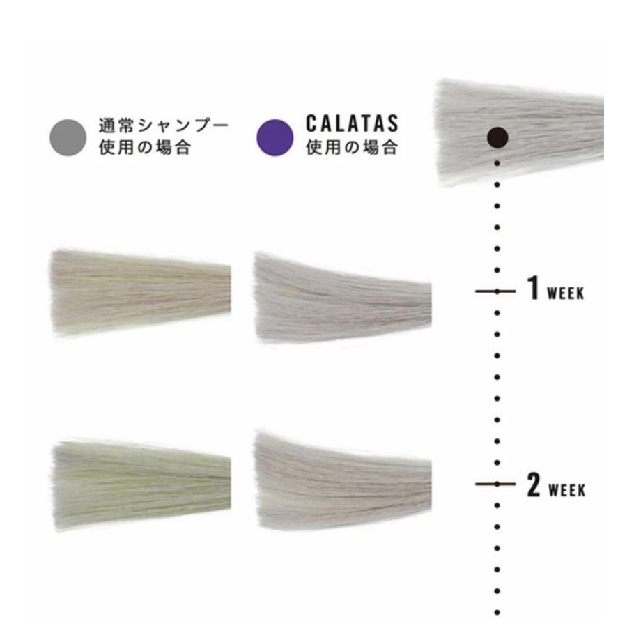 【正規品】CALATASHETACAREカラタスヒートケアPrシャンプーPu【パープル】250ml