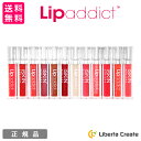 Lip addict リップアディクト 唇用美容