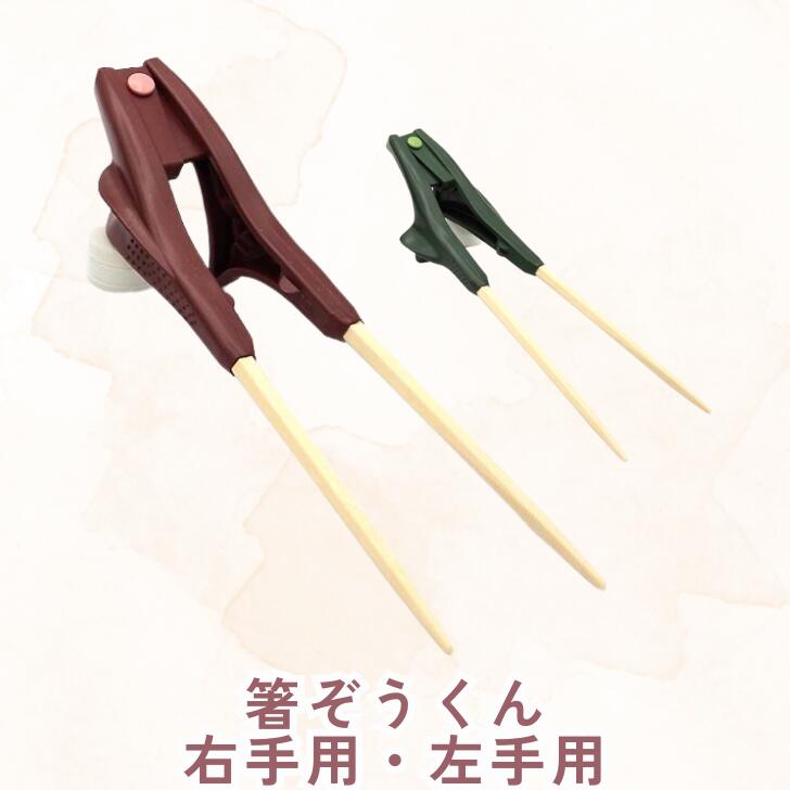 【箸ぞうくん】赤 グリーン 右手用 