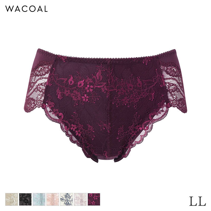 11/27 10:59ޤ22%OFFۥ拾 ʥᥤ 硼 Ϥ߾դĤ ϥå硼 08롼(LL)PXC208ڥ᡼04