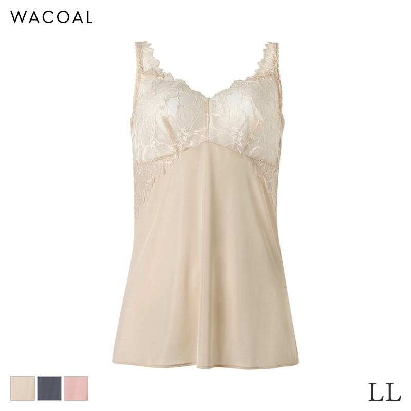 ��3/11 10:59�ޤ�22%OFF�ۥ拾���� ����ե����ȥե��å� ����ߥ����� ����������ɥ��륨�å� 09���롼��(LL)CXC109�ڥ᡼����07��