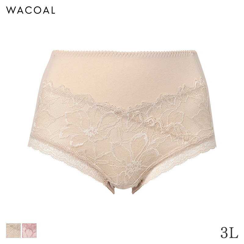 樂天商城 - 【5/18 10:59まで22%OFF】ワコール コンフォートフィット ショーツ はきこみ丈ふかめ ノーマルショーツ 09グループ(3L)PXC209【メール便04】