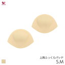 【7/16 08:59まで20%OFF】ワコール パッド 上胸ふっくらパッド(S M)FDA047